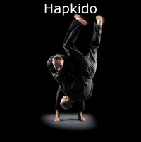 Hapkido - Kopie_phixr (2)